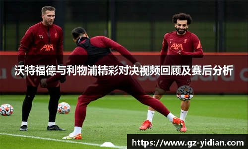 多宝电竞官网