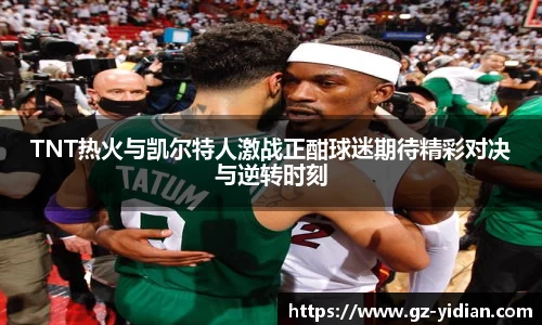 多宝电竞